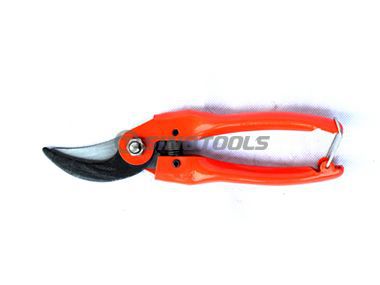Pruning Shear
