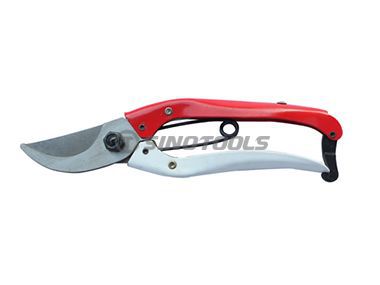 Pruning Shear