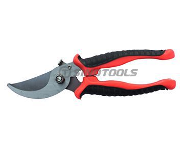 Pruning Shear