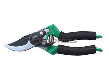 Pruning Shear