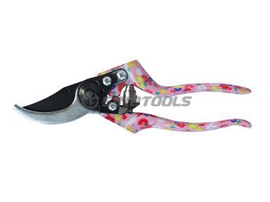 Pruning Shear