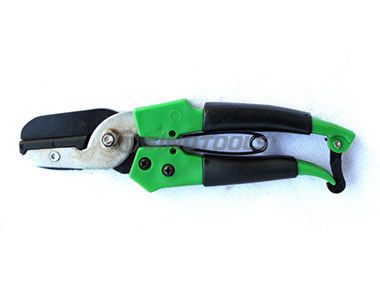 Pruning Shear
