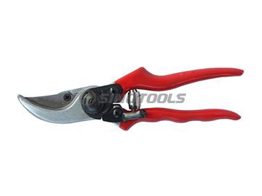 Pruning Shear