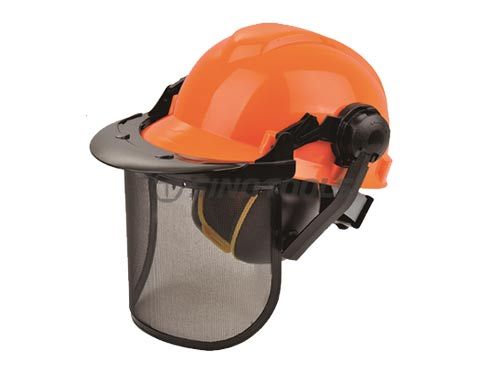 Face Shield